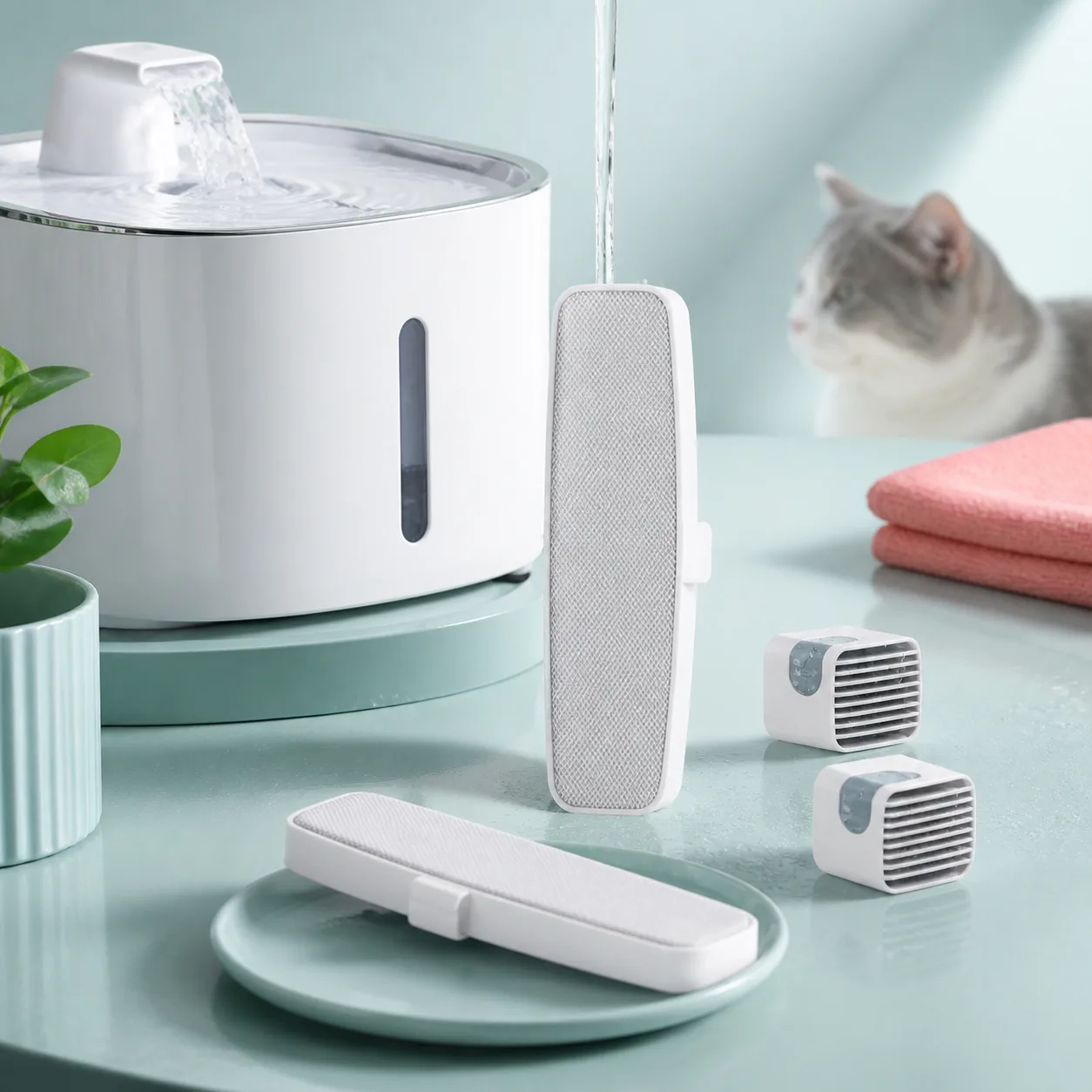 چرخه نگهداری Xiaomi Smart Pet Fountain Filter شستوشوی فیلتر آبخوری حیوانات شیائومی پیش از نصب در کنار آبخوری و گربه