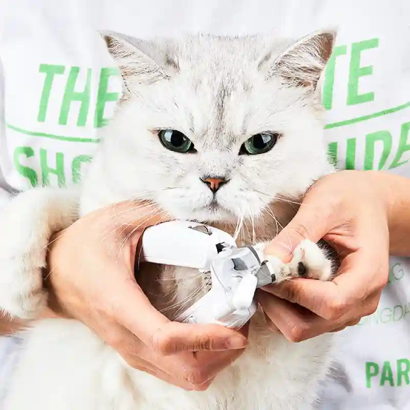 کوتاه کردن نوک ناخن گربه با ناخن گیر PETKIT