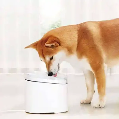 آبرسانی به سگ با Xiaomi Smart Pet Fountain نوشیدن سگ از آبخوری هوشمند Xiaomi XWWF01MG